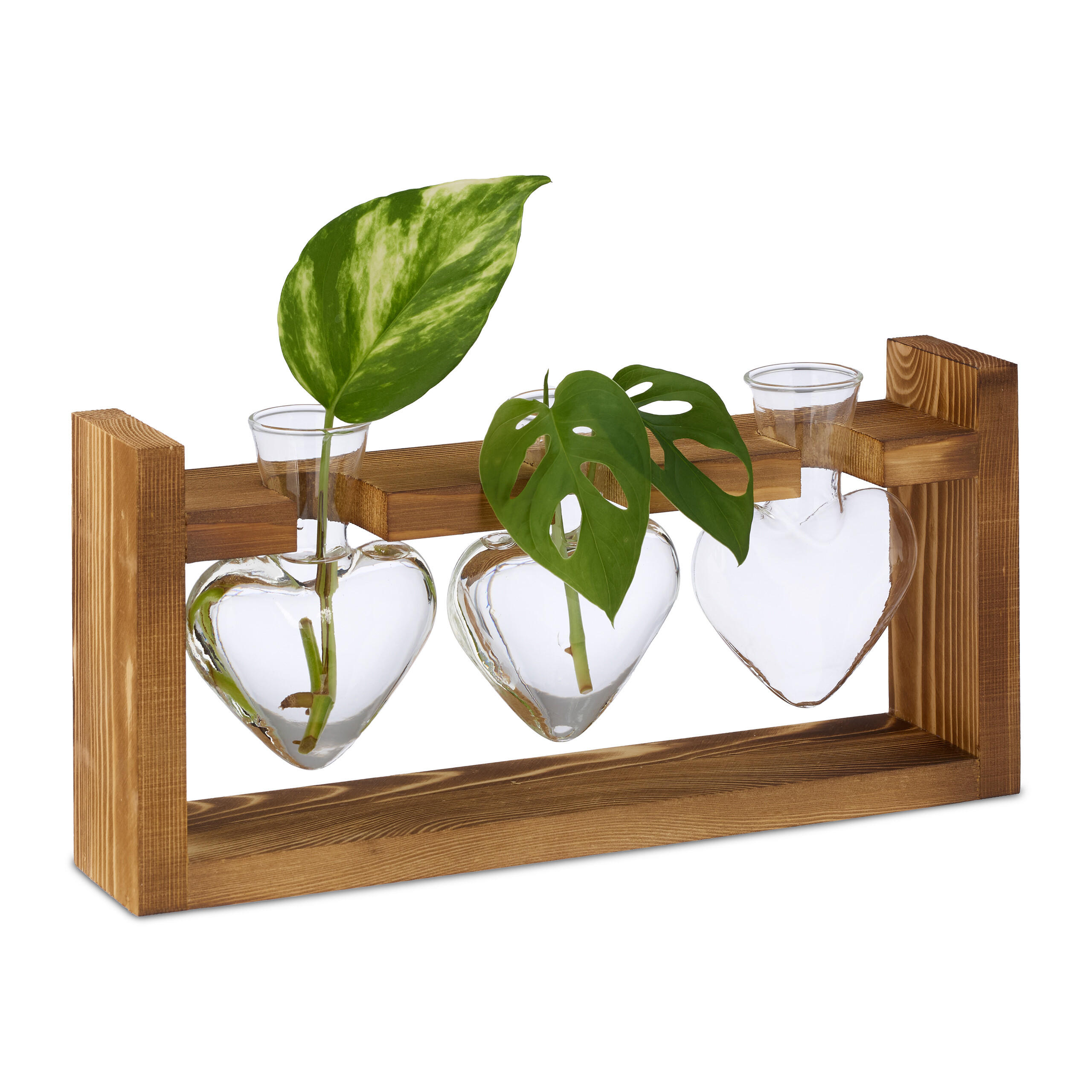 REAGENZGLAS-VASE - Multicolor, Glas/Holz (13cm) - Relaxdays