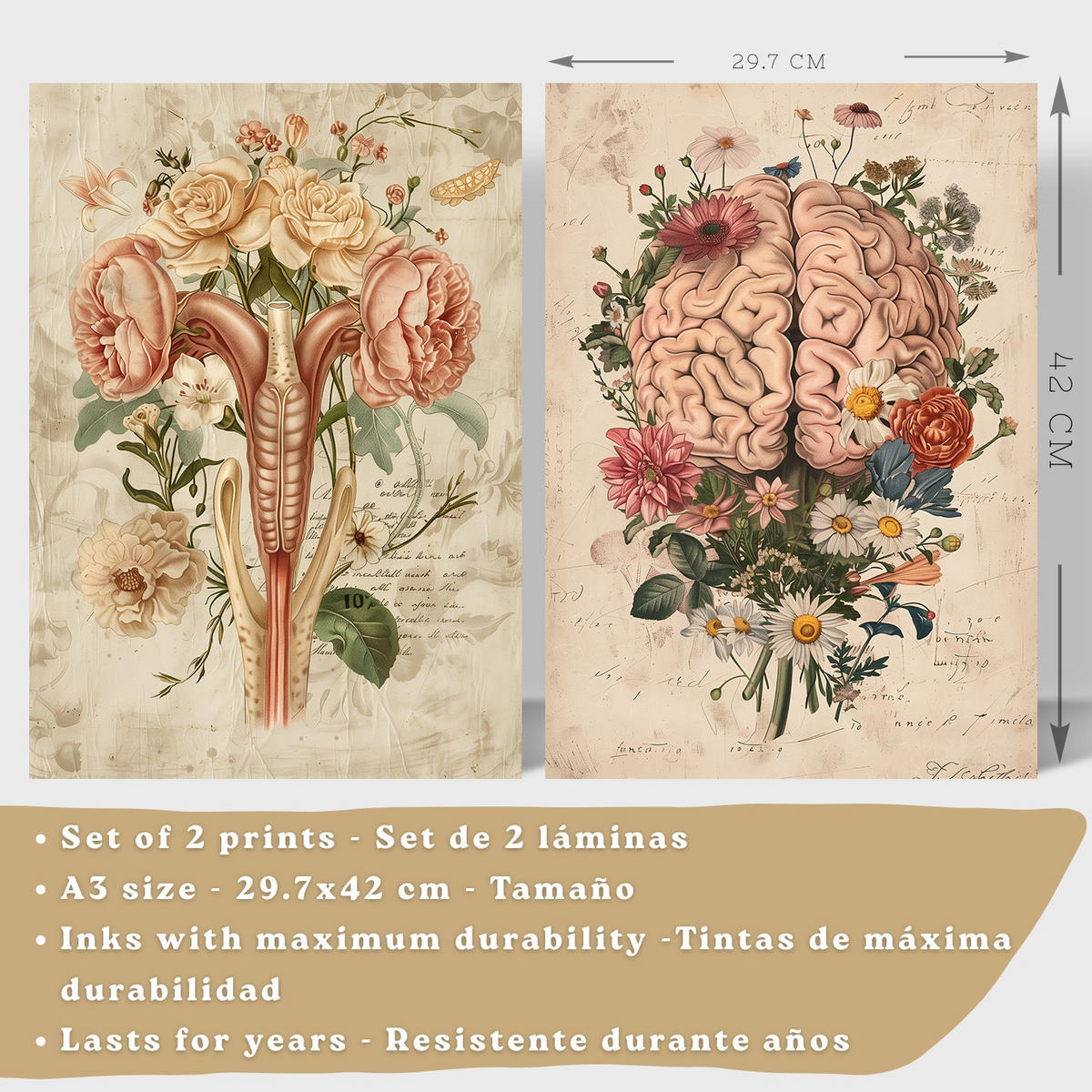 POSTER Set aus 2 Weibliche Anatomie Drucke und Wandbilder mit Gehirn und Gebärmutter Botanischer Retro Vintage Floraler Stil Größe Weißer Rahmen A3 - Weiß, Papier (29.7/42/3cm) - Nacnic