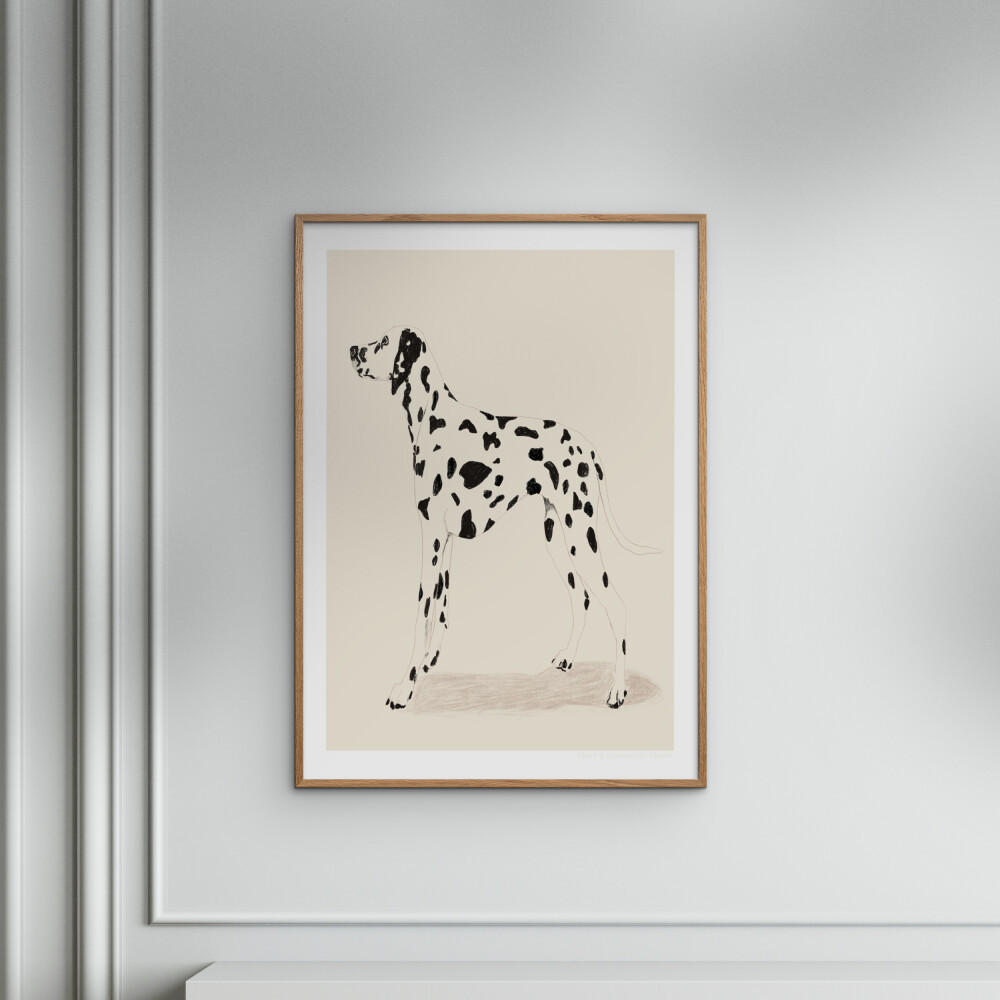 POSTER mit Rahmen Jenny Liz Rome - Dalmation - Eichefarben/Naturfarben, Holz/Papier (50/70cm) - Poster&Frame