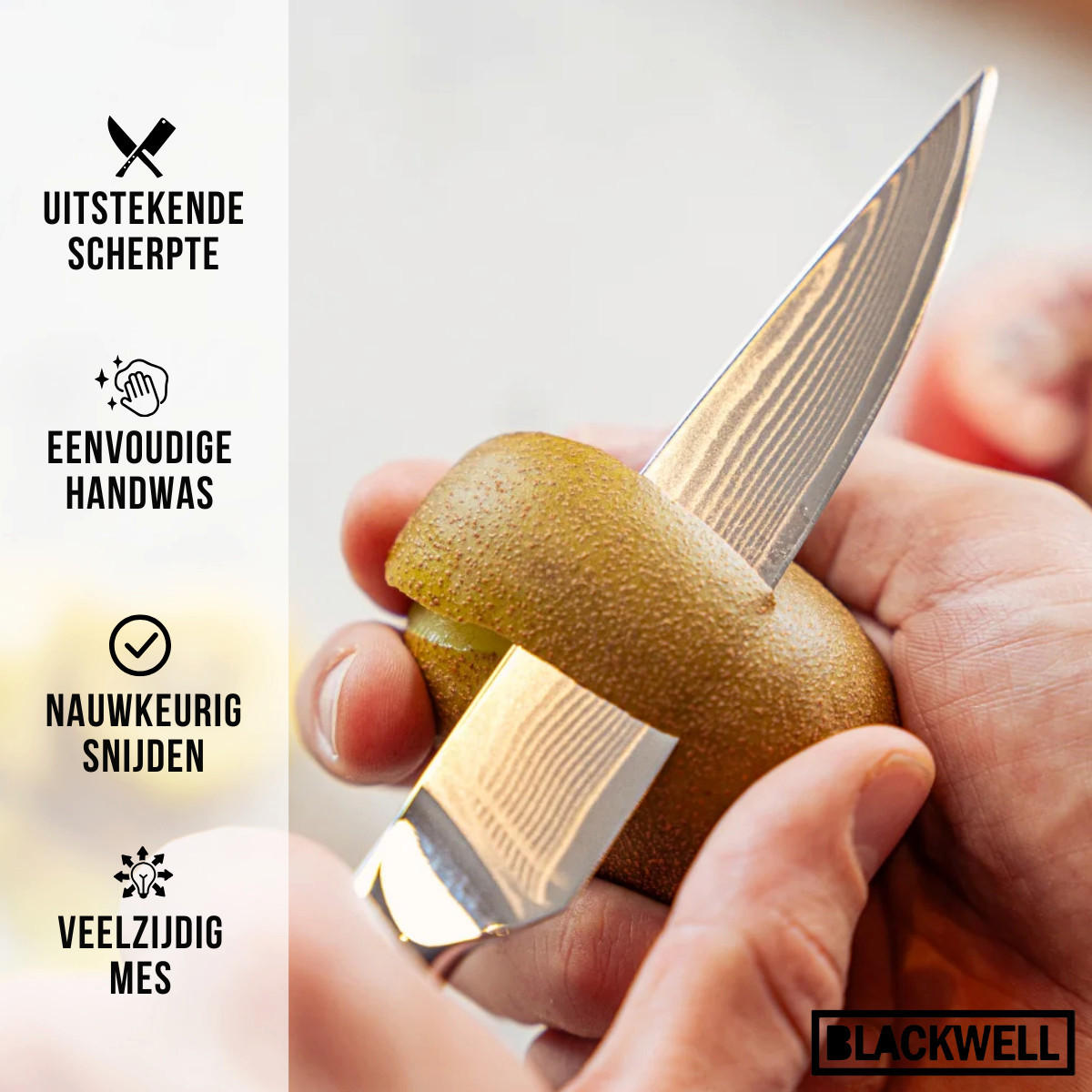 GEMÜSEMESSER Büromesser im japanischen Stil - 67-lagiger Damaststahl - VG10 - 12,5 cm - Schwarz, Metall (1cm) - Blackwell