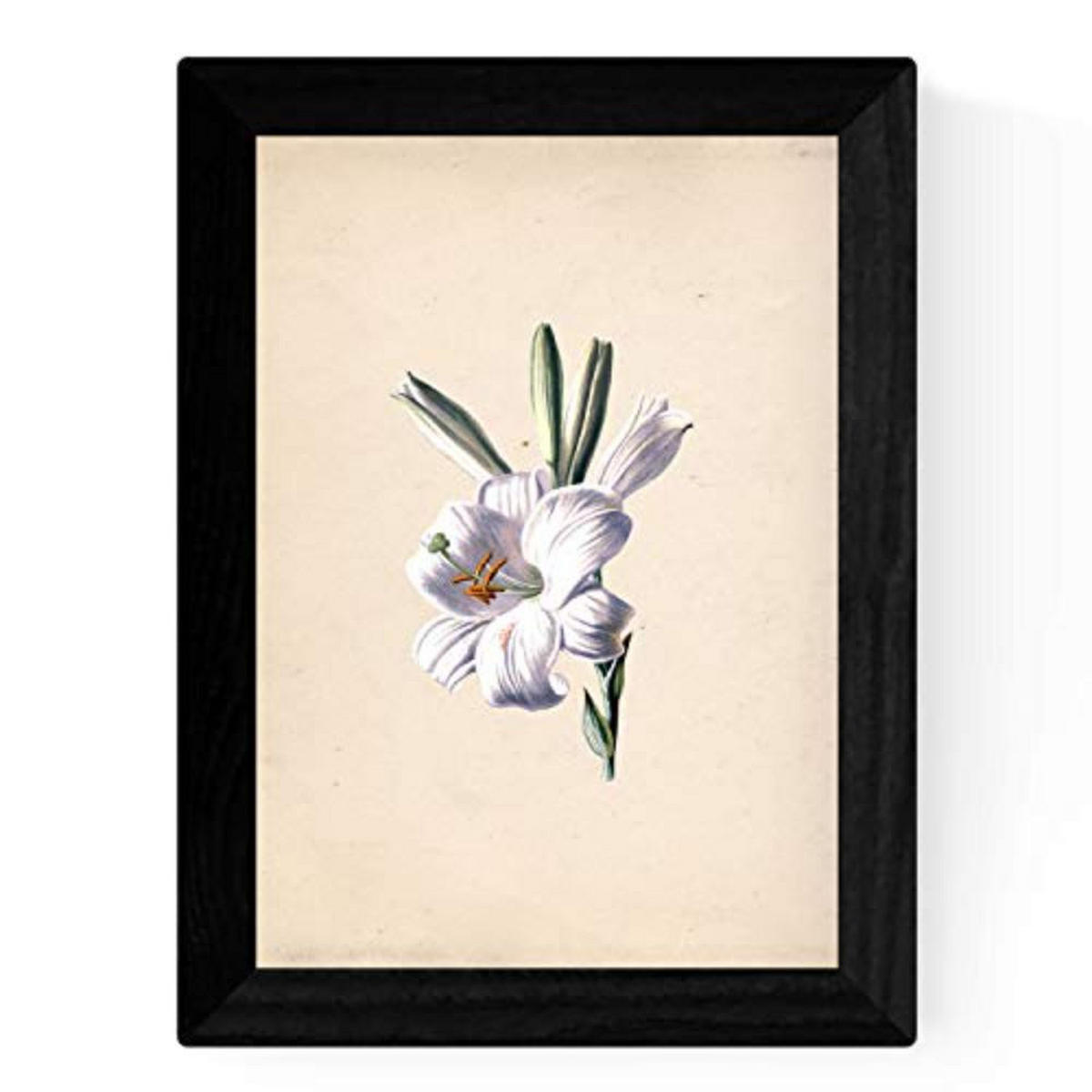 POSTER Set mit 4 Botanische Papier Hintergrund helle Blumen A4 Rahmenlos - Klar, Papier (29.7/3cm) - Nacnic