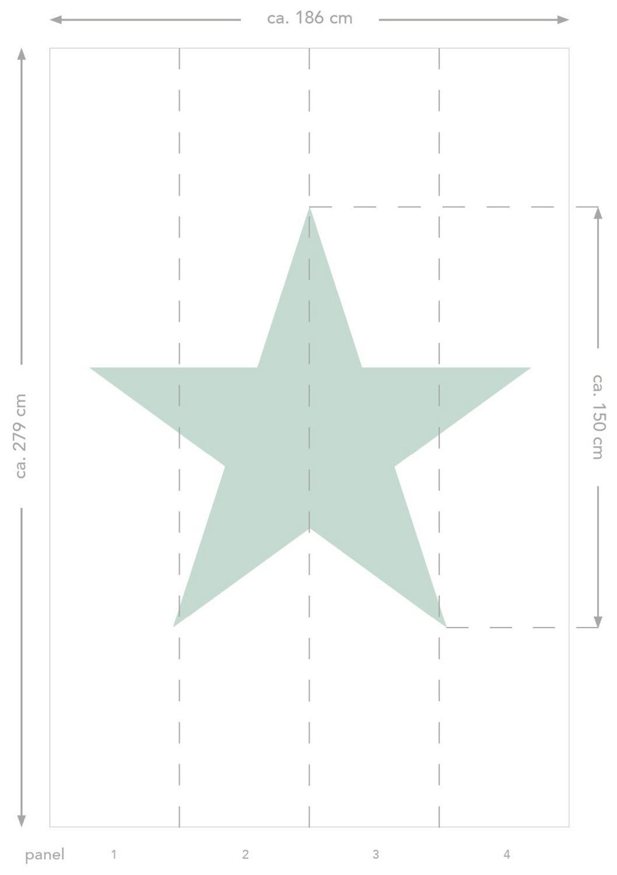 FOTOTAPETE großer Stern 186 x 279 cm - Grün, Papier (186/279cm) - ESTAhome