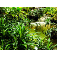 FOTOTAPETE Wasserfall 375 x 270 cm - Grün, Papier (375/270cm) - Sanders & Sanders