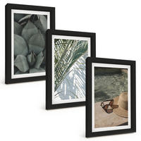 BILDER SET 3er Set - 20x30 cm Schwarzer Rahmen - Tropische Pflanzen für den Urlaub - Schwarz, Kunststoff (20/30cm) - TULUP