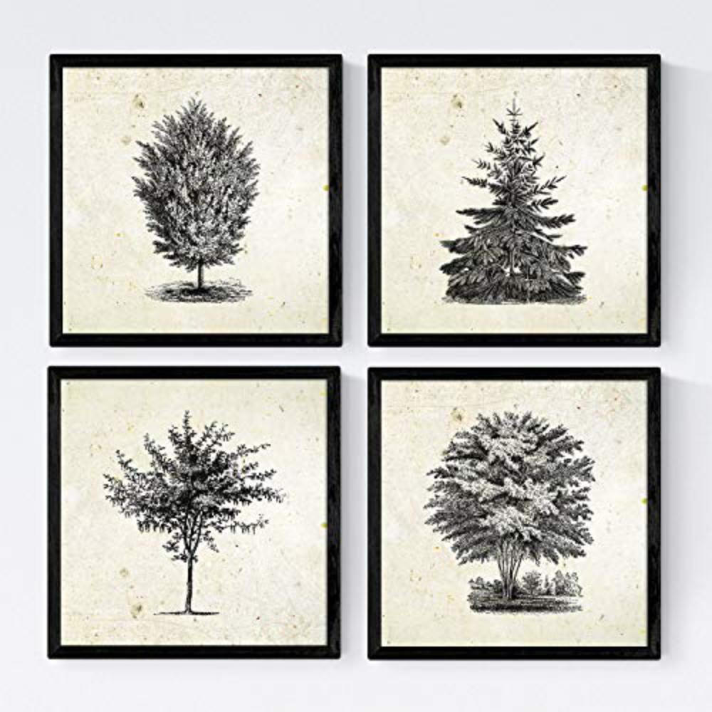 POSTER Set mit 4 Blättern der Bäume in der Welt 20x20cm Rahmenlos - Klar, Papier (20/3cm) - Nacnic