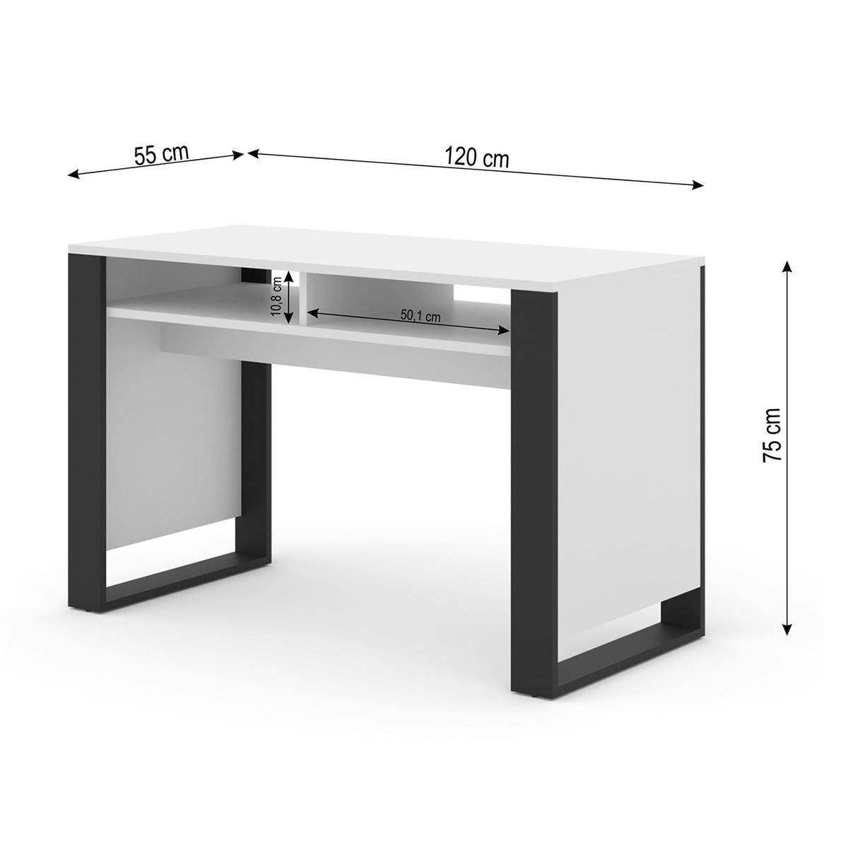 SCHREIBTISCH Gani Weiß und Mattschwarz - Weiß, Holzwerkstoff (55/120/75cm) - Petits-meubles