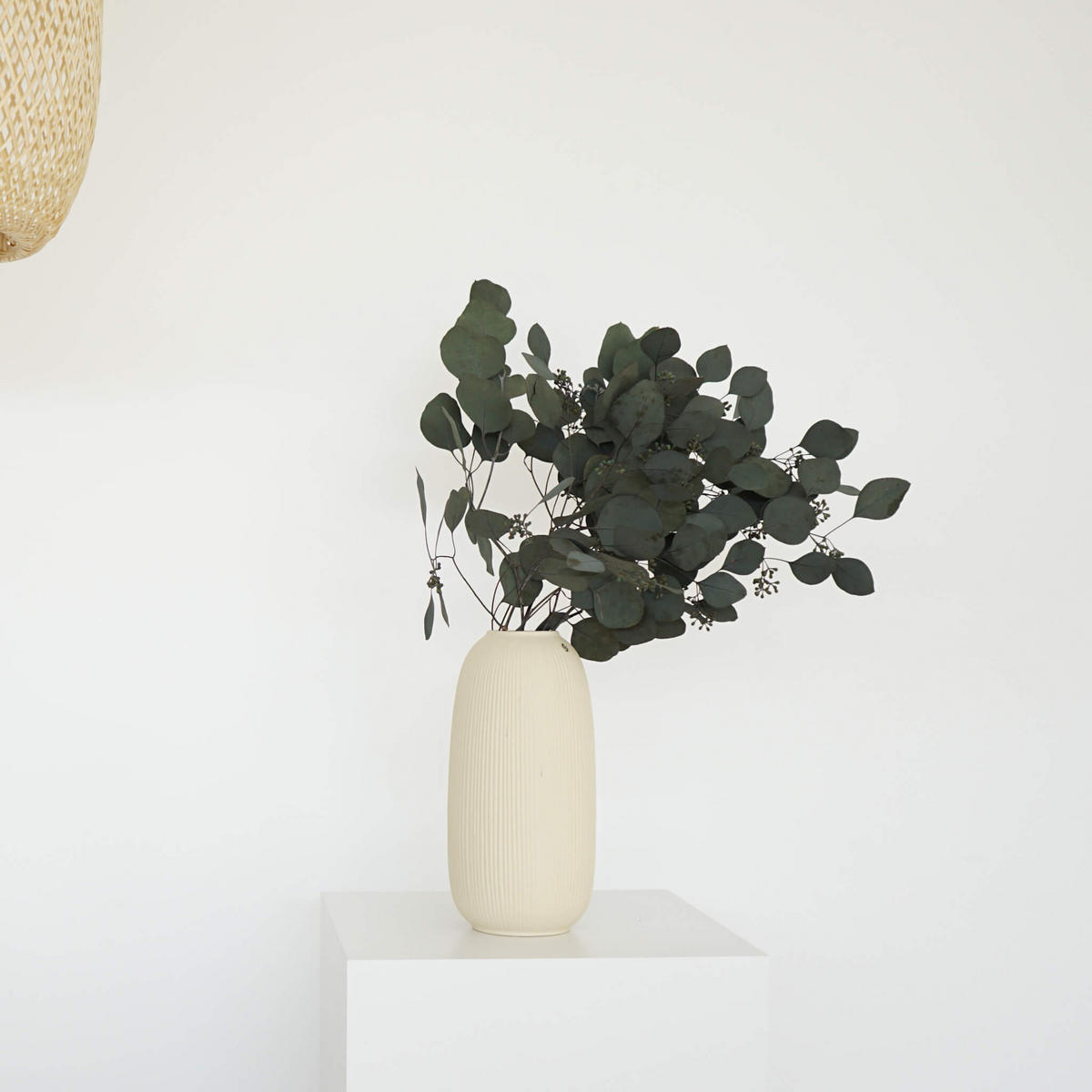 EUKALYPTUS Popolus mit Beeren - grün / 60 cm / 1 Bund - Grün, Naturmaterialien (60cm) - Lykke & You