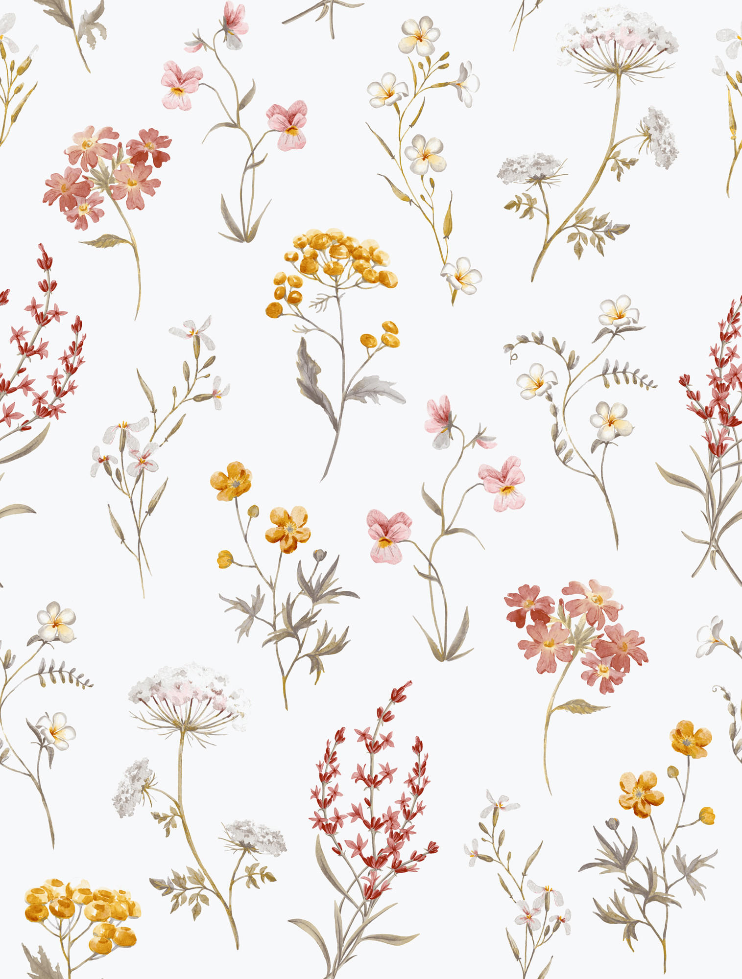 TAPETE Blumen 53 cm x 10 m - Terracotta, Papier (53/1000cm) - Sanders & Sanders