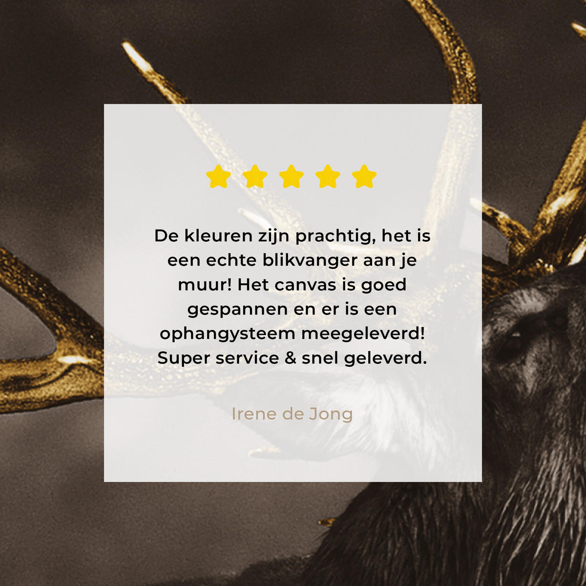 LEINWANDBILD Rotwild - Schwarz - Gold Wandbilder 80x60 cm - Braun, Textil (80/60cm) - MuchoWow