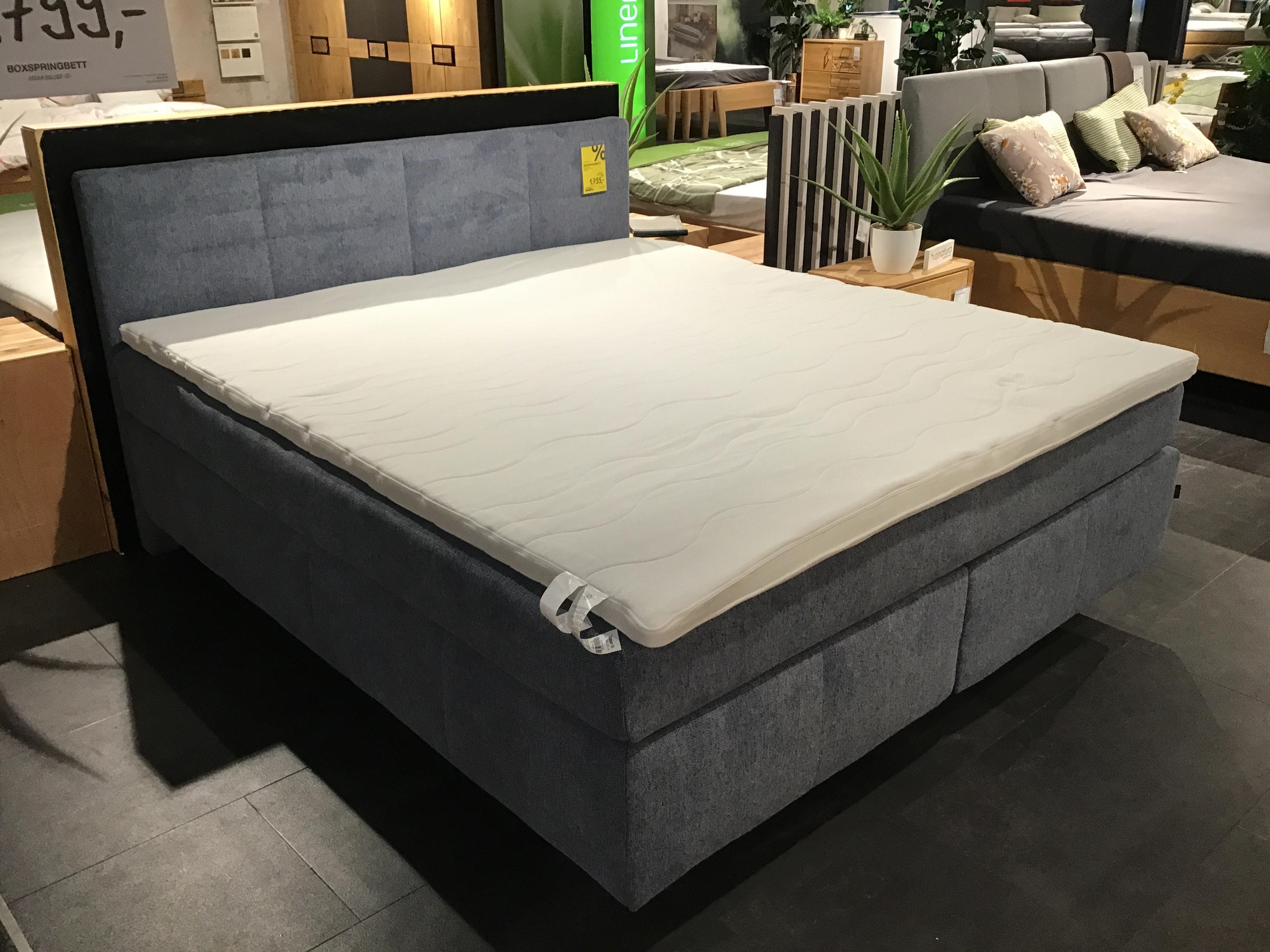 Boxspringbett Dream Deluxe - Dieter Knoll