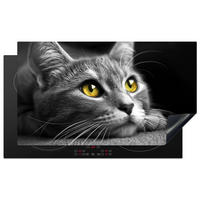 HERDABDECKPLATTE Katze - Grau - Tiere - Katze 91x52 cm - Grau, Kunststoff (91.2/0.2/52cm) - MuchoWow
