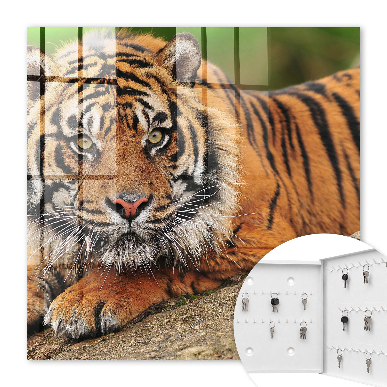 SCHLÜSSELBOX Weiß 30x30 cm – Türöffnung nach rechts - Tiger ruht - Orange, Metall (30/30/5cm) - TULUP