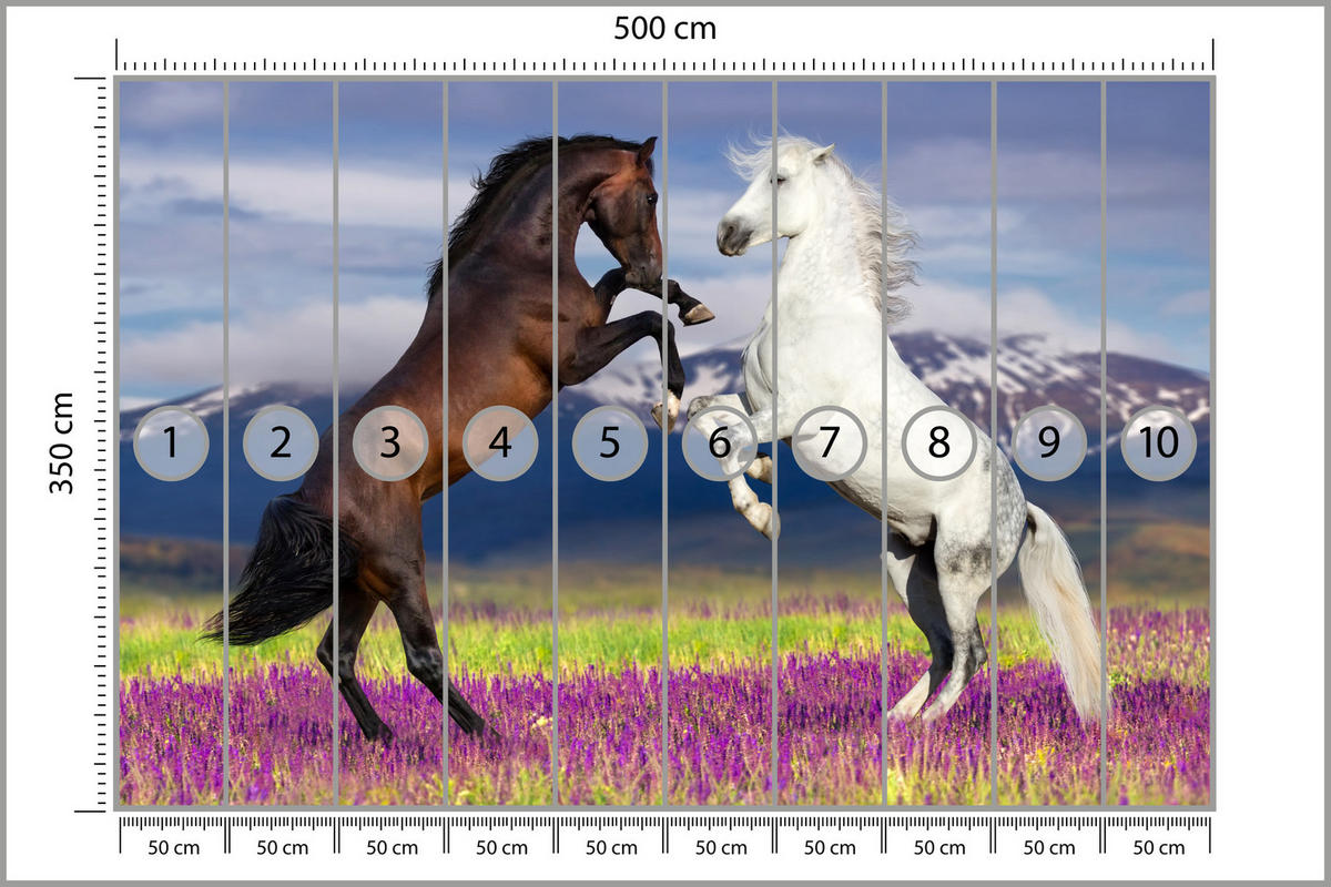 FOTOTAPETE für Esszimmer Pferde Lavendelfeld Berge Provence 500x350 - Beige/Violett, Papier (500/350cm) - Muralo