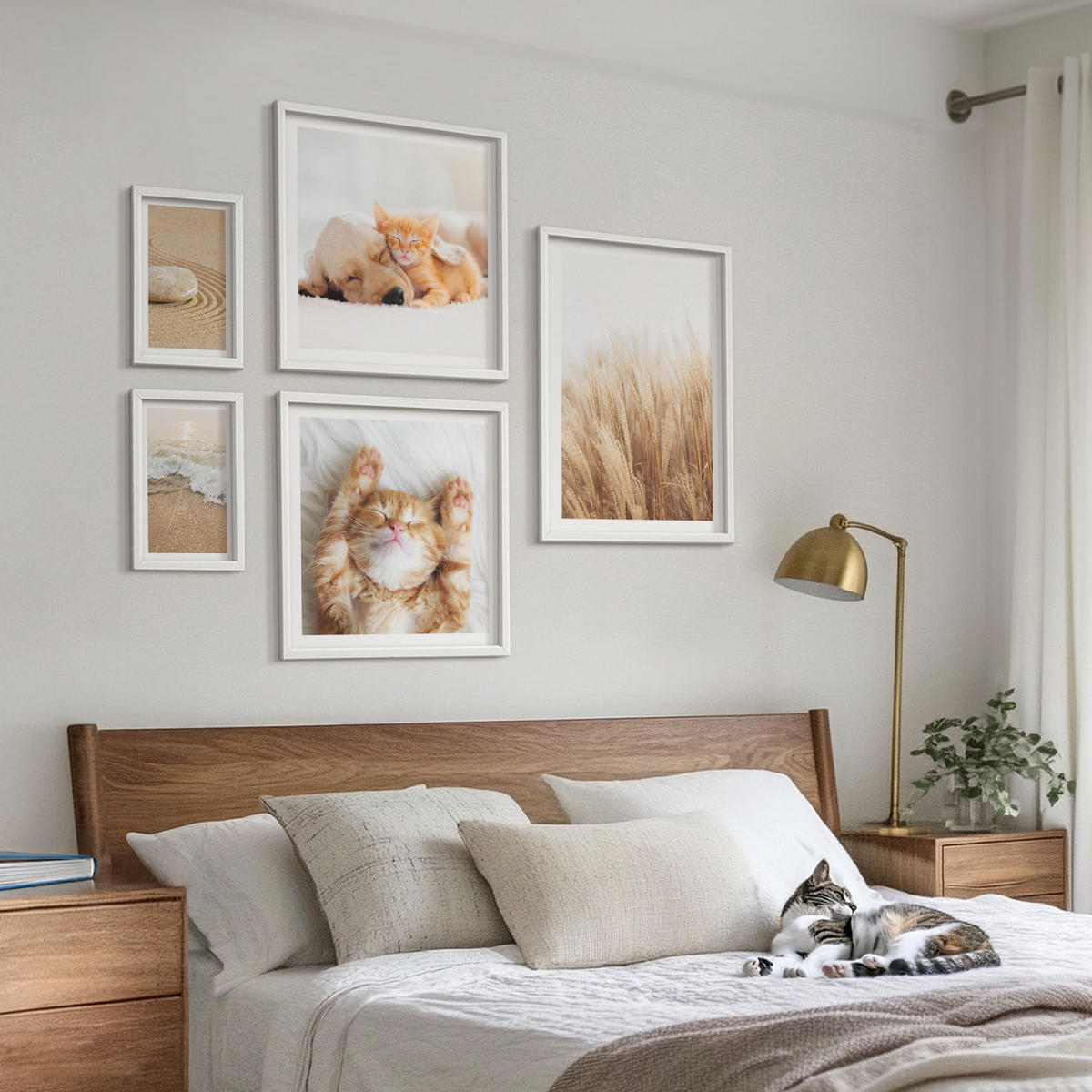 BILDER SET 5er Set - 50x50 cm & 20x30 cm & 40x60 cm Weißer Rahmen - Niedliche Tiere, Katzen, Hunde, Strand - Weiß, Kunststoff (40/60cm) - TULUP