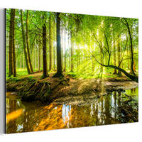 METALLBILD Wald - Landschaft - Wasser - Bäume - Sonne - Grün - Natur 90x60 cm - Grün, Metall (90/60cm) - MuchoWow