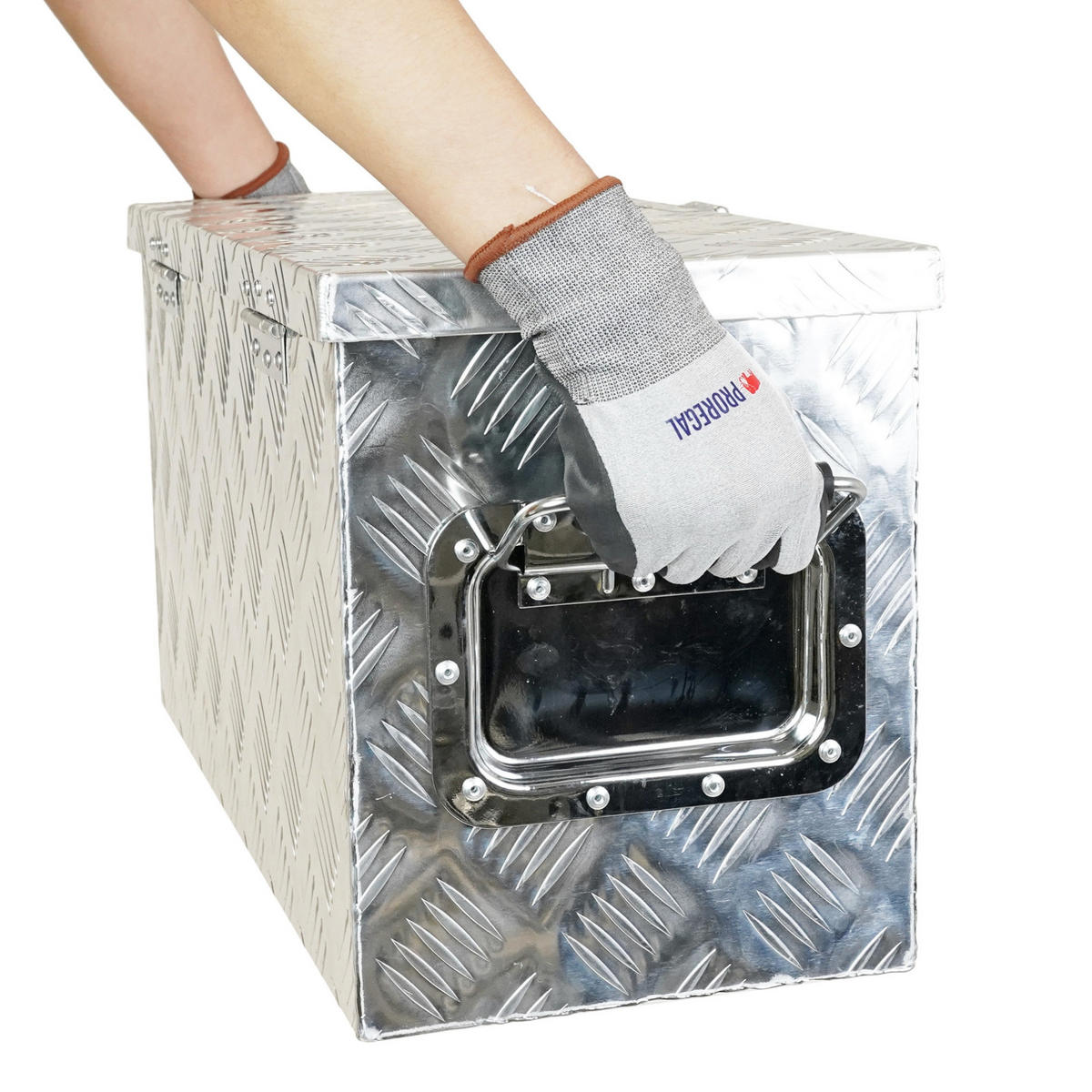 DEICHSELBOX Titan Anhängerbox 25x68x30cm Aluminium - Silberfarben, Metall (68/25/30cm) - PROREGAL
