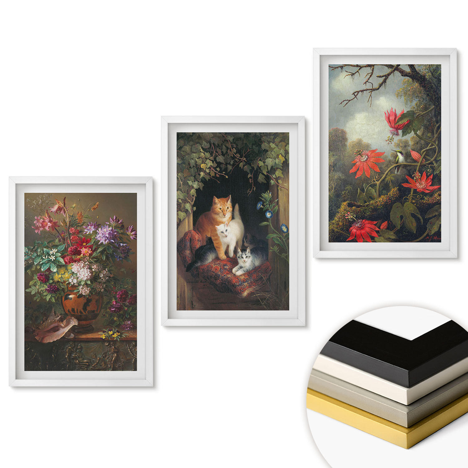 WANDBILDER 3er-Set - 40x60 cm Weißer Rahmen - Vintage-Blumen, Katzen, Natur - Weiß, Kunststoff (40/60cm) - ArtPrintCave