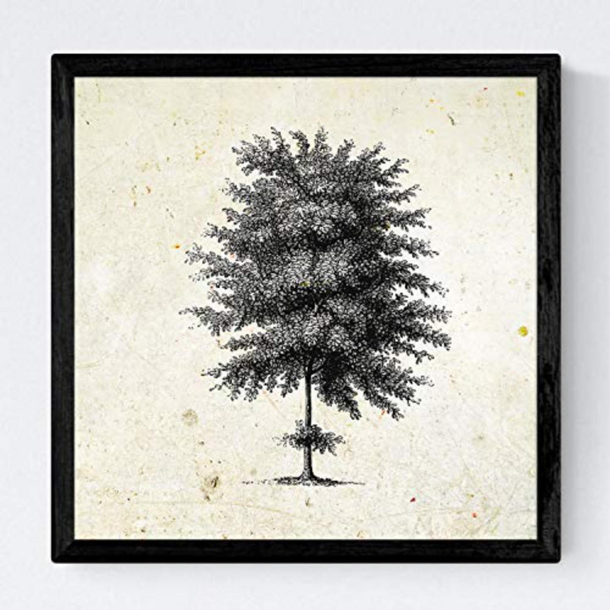 POSTER Set mit 4 Blättern der Baumstamm fein Jahrgang Hintergrund 20x20cm Rahmenlos - Klar, Papier (20/3cm) - Nacnic