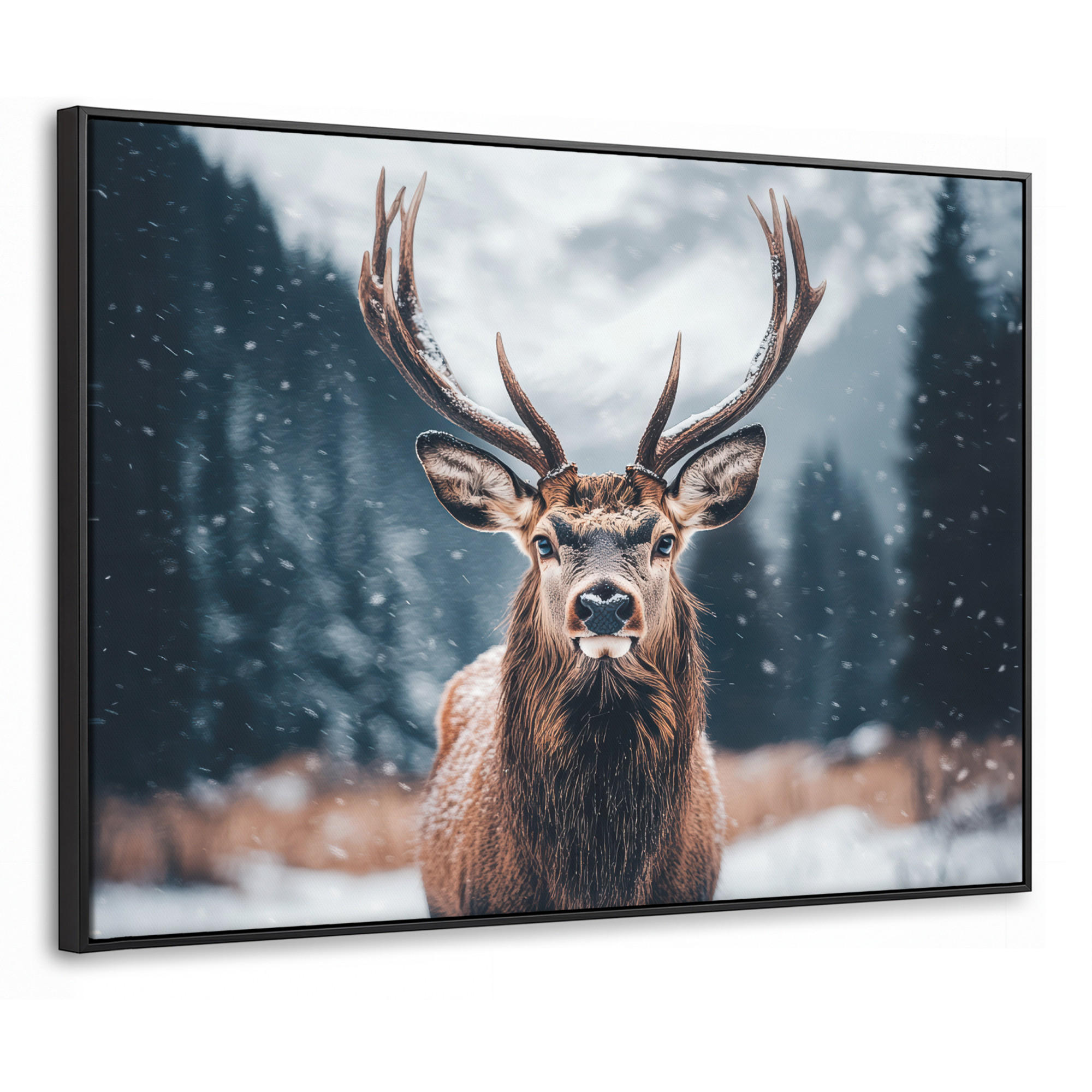 MuchoWow Leinwand Kastanien 70x50 cm