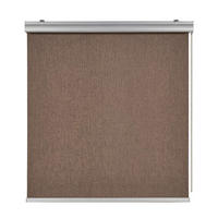 VERDUNKELUNGSROLLO Braun 100x250 cm - Braun, Kunststoff (100/250cm) - STORESDECO