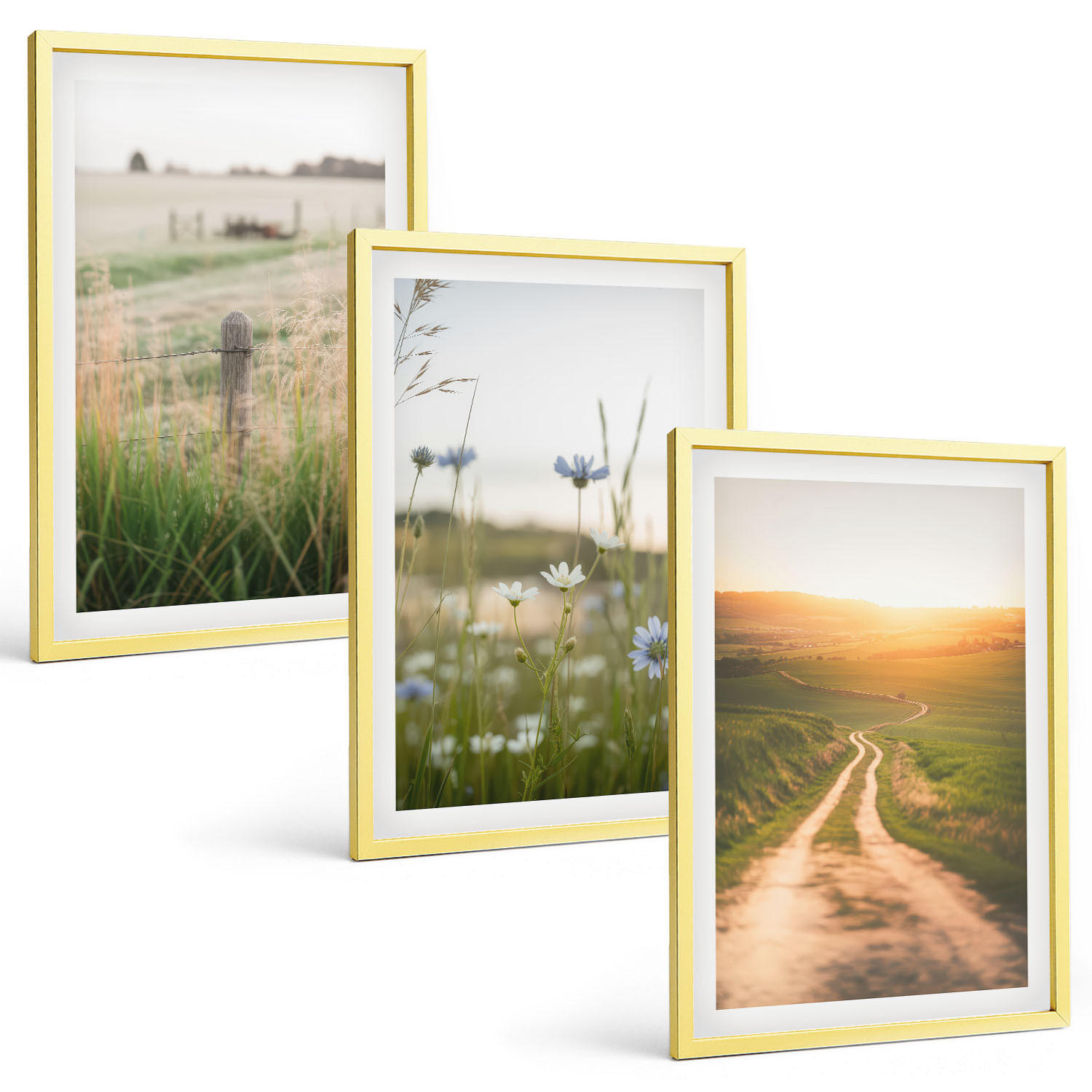 BILDER SET 3er Set - 40x60 cm Goldrahmen - Landschaften Natur Felder Weg - Goldfarben, Kunststoff (40/60cm) - TULUP