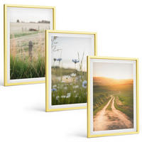 BILDER SET 3er Set - 40x60 cm Goldrahmen - Landschaften Natur Felder Weg - Goldfarben, Kunststoff (40/60cm) - TULUP