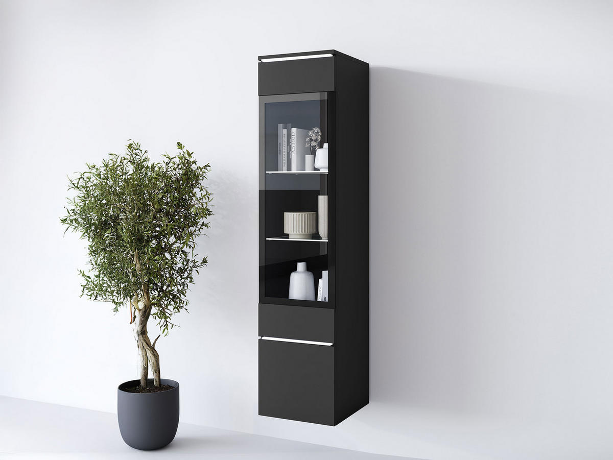 HÄNGEVITRINE Vera 002 mit LED Beleuchtung - Alufarben/Graphitfarben, Holzwerkstoff/Kunststoff (30/130/33cm) - MIRJAN24