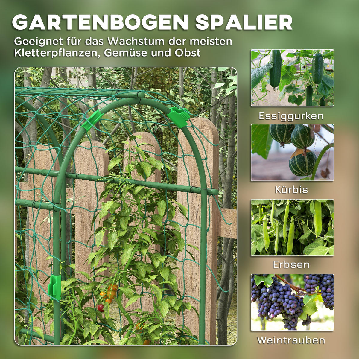 RANKHILFE für Kletterpflanzen, Verstellbares Spalier, für Garten, Balkon, Stahl, Grün - Grün, Kunststoff/Metall (43/183/182cm) - Outsunny