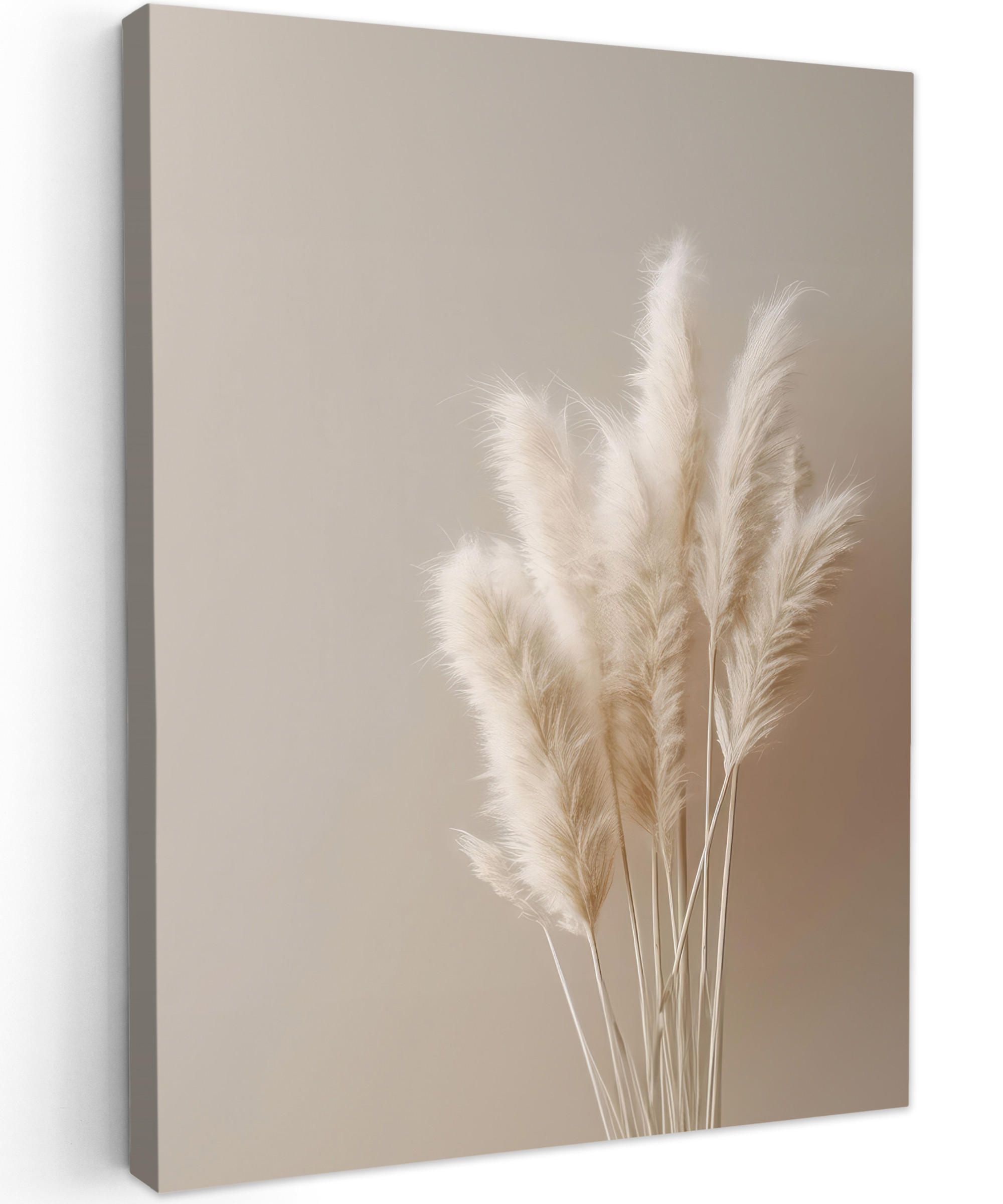 MuchoWow OBRAZ NA PLÁTNĚ Pampová tráva - Plumes - Pastelová - Bílá 60x80 cm