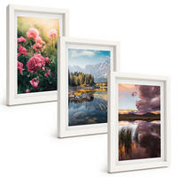 BILDER SET 3er Set - 20x30 cm Weißer Rahmen - Blumengarten Berge Wasser - Weiß, Kunststoff (20/30cm) - TULUP