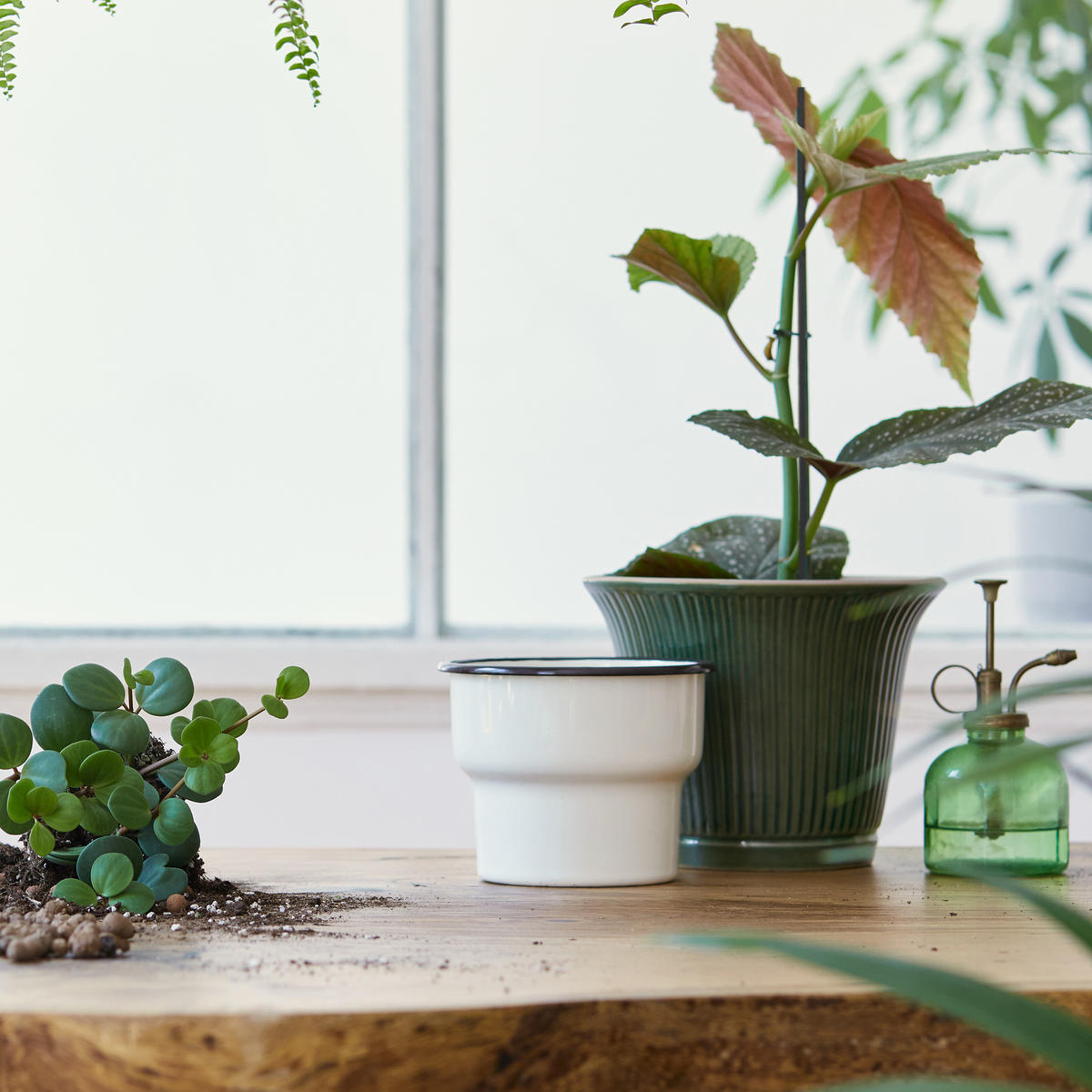 50XBAMBUSOVÉ tyče - čierna, kov/drevo (0.6/60/0.6cm) - Relaxdays