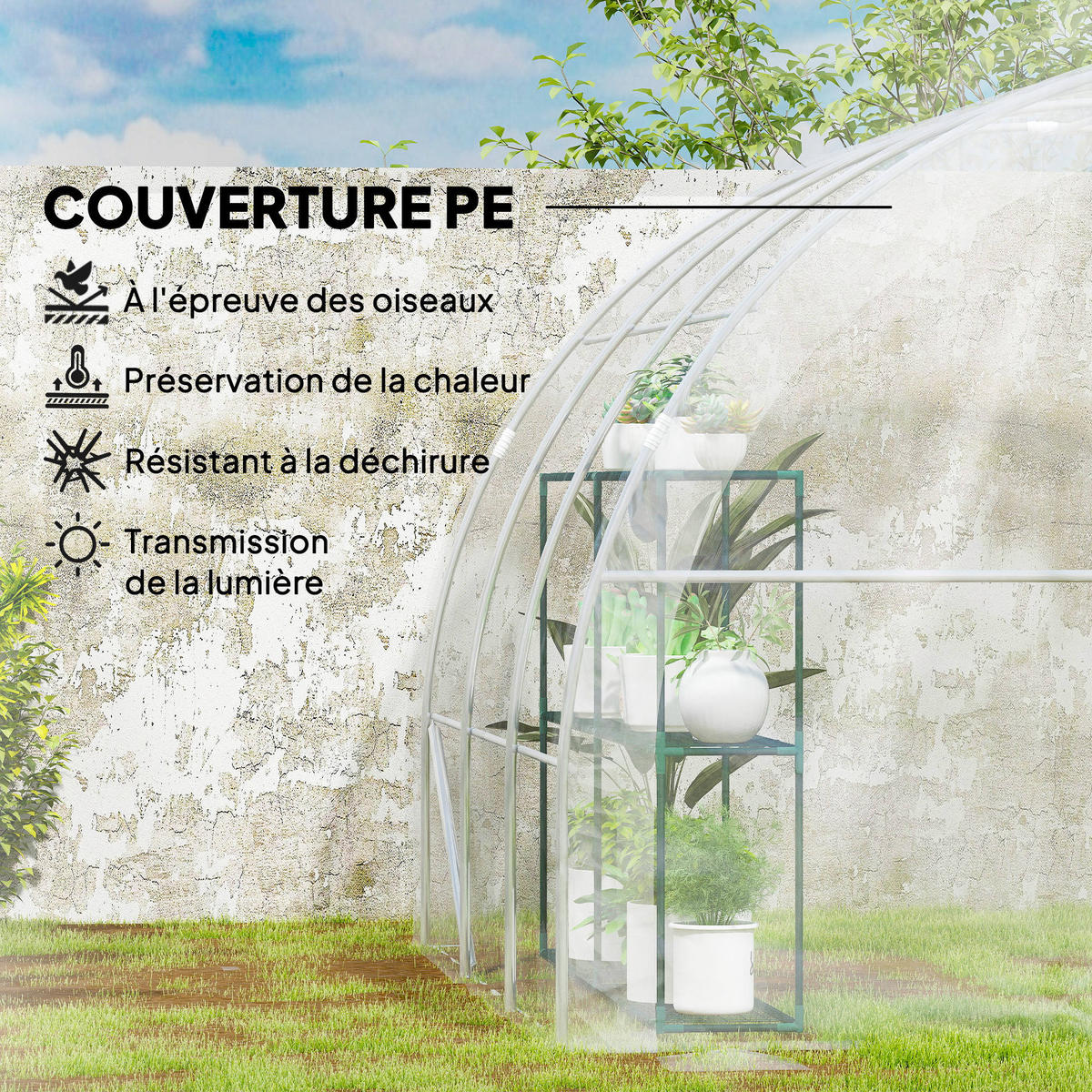 GEWÄCHSHAUS DE-12019 9 m² mit Scharniertür Grün - Transparent, Kunststoff (295/195/295cm) - ComfortXL