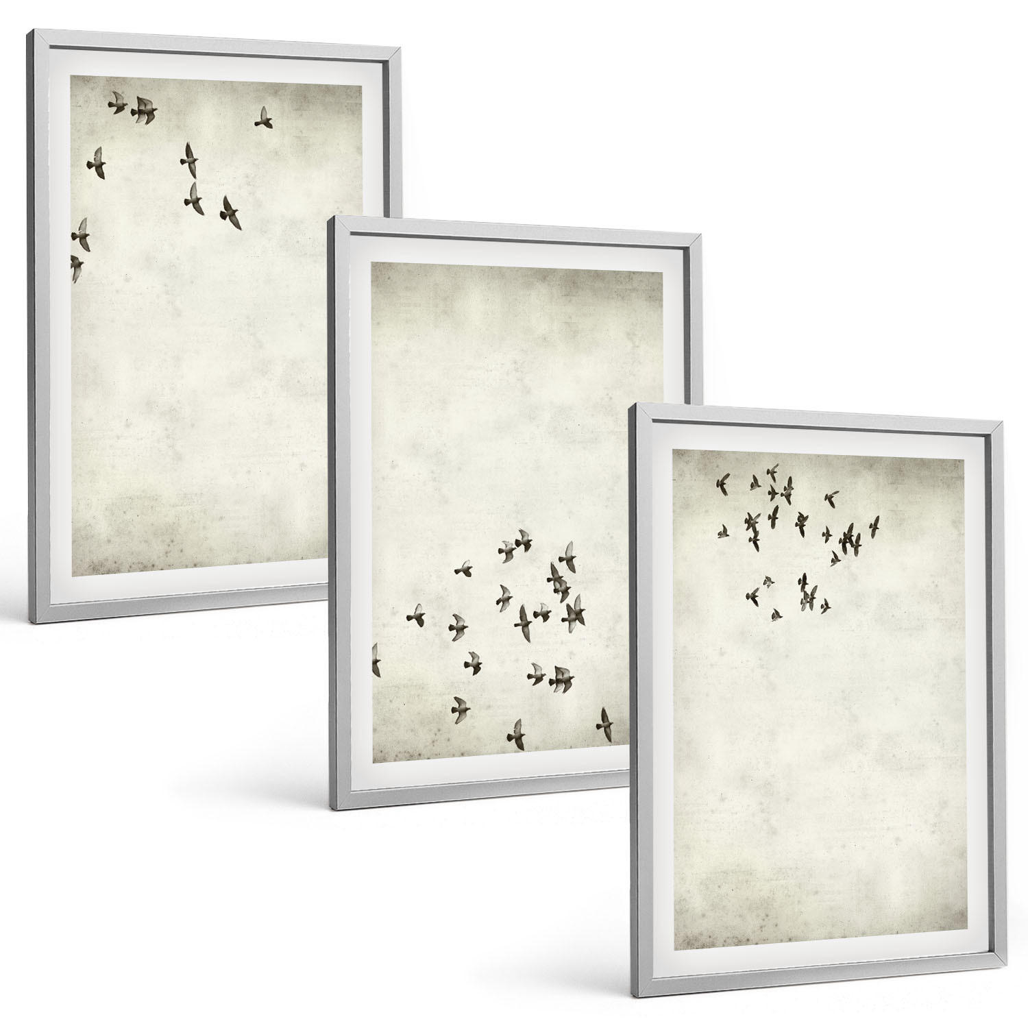 BILDER SET 3er Set - 40x60 cm Silberner Rahmen - Minimalistische Vogelmalerei - Silberfarben, Kunststoff (40/60cm) - TULUP
