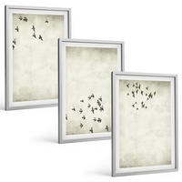 BILDER SET 3er Set - 40x60 cm Silberner Rahmen - Minimalistische Vogelmalerei - Silberfarben, Kunststoff (40/60cm) - TULUP