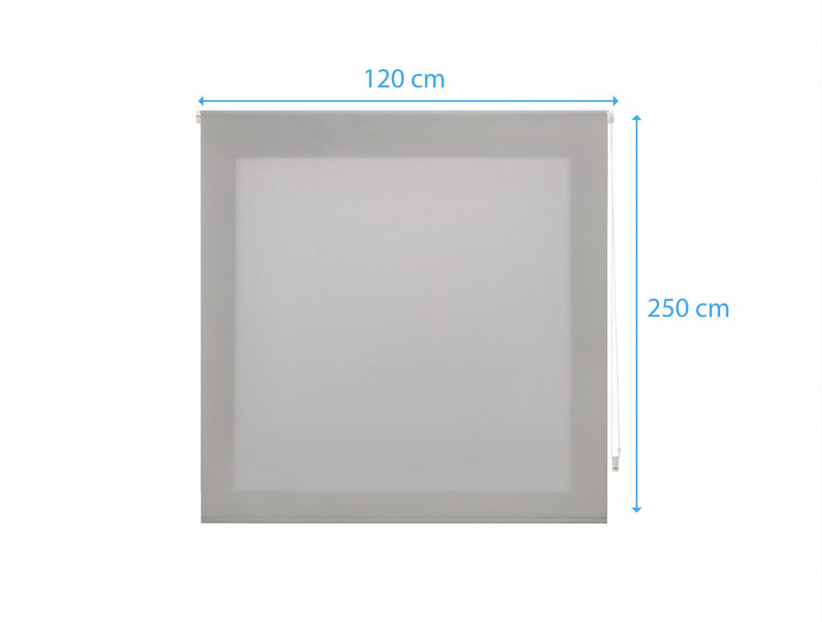 ROLLO Polyester Transluzent Silber 120x250 - Silberfarben, Textil (120/250/1cm) - Purline