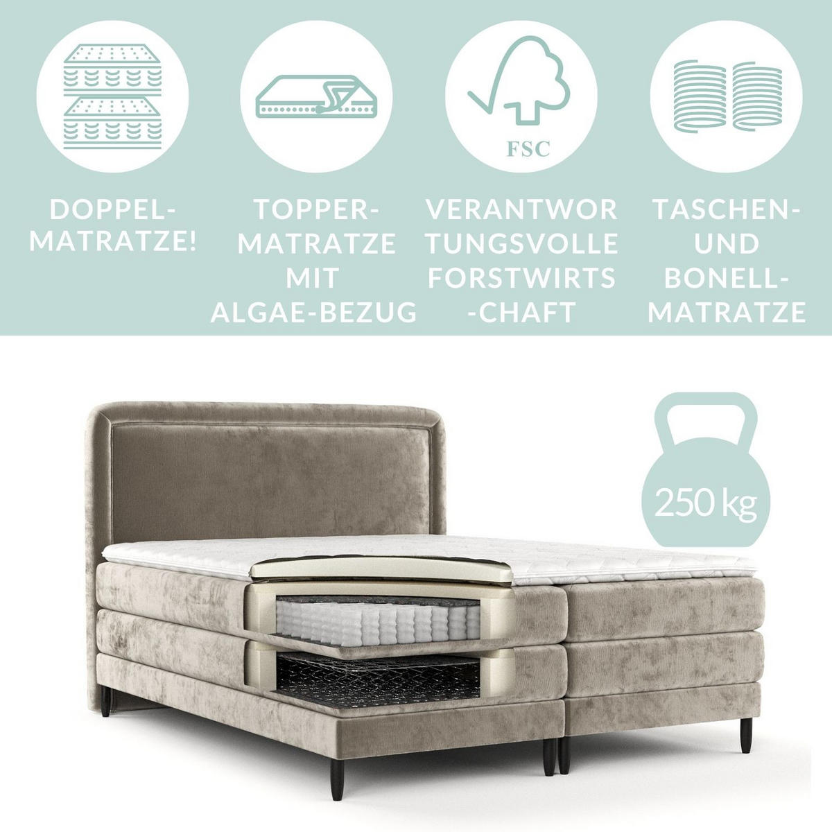 BOXSPRINGBETT Dove Beige 160/200 cm mit Matratzen und Topper - Beige/Schwarz, Holz/Holzwerkstoff (160/200cm) - Maison de Reve