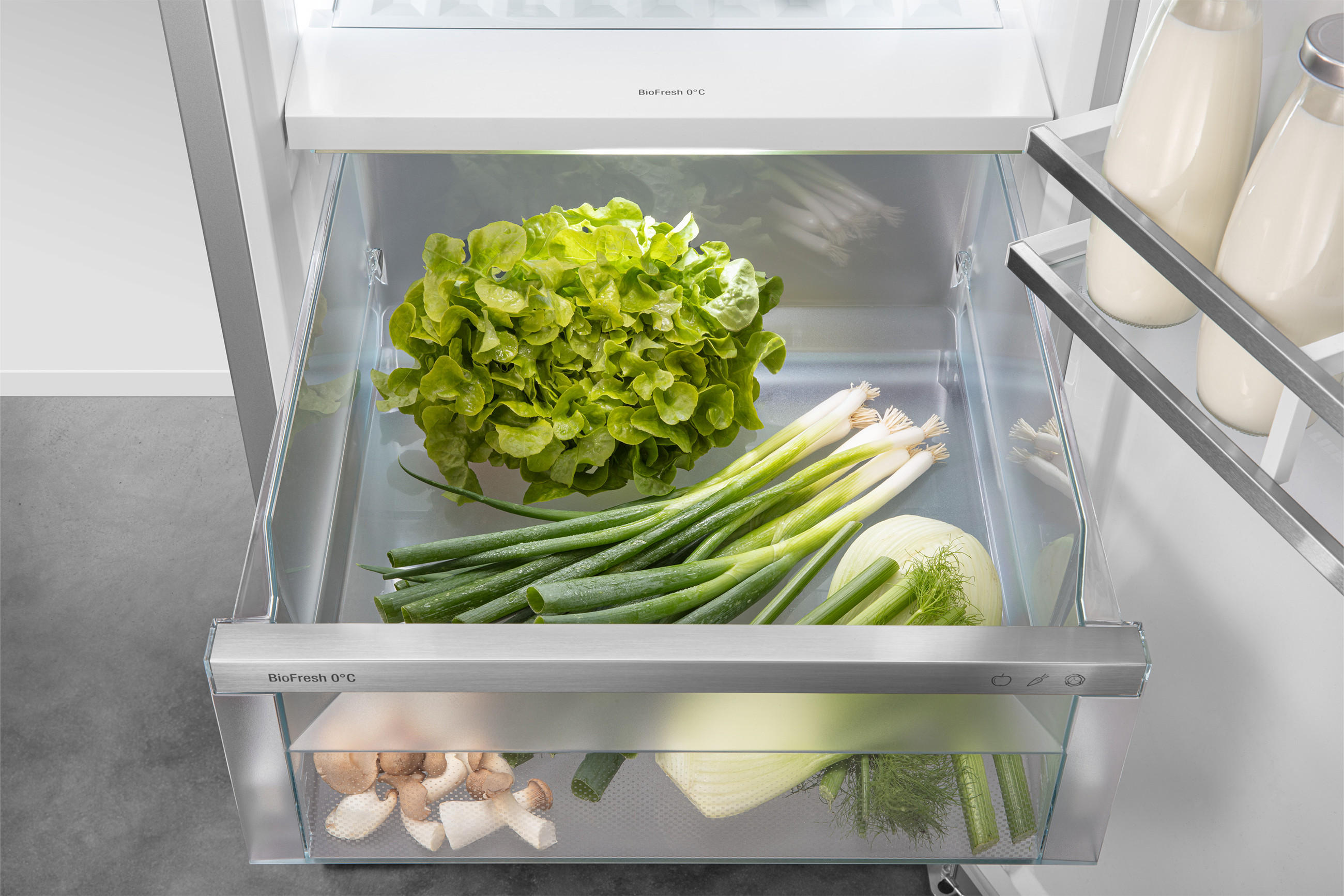 Liebherr Biofresh Fruit Vegetable Safe