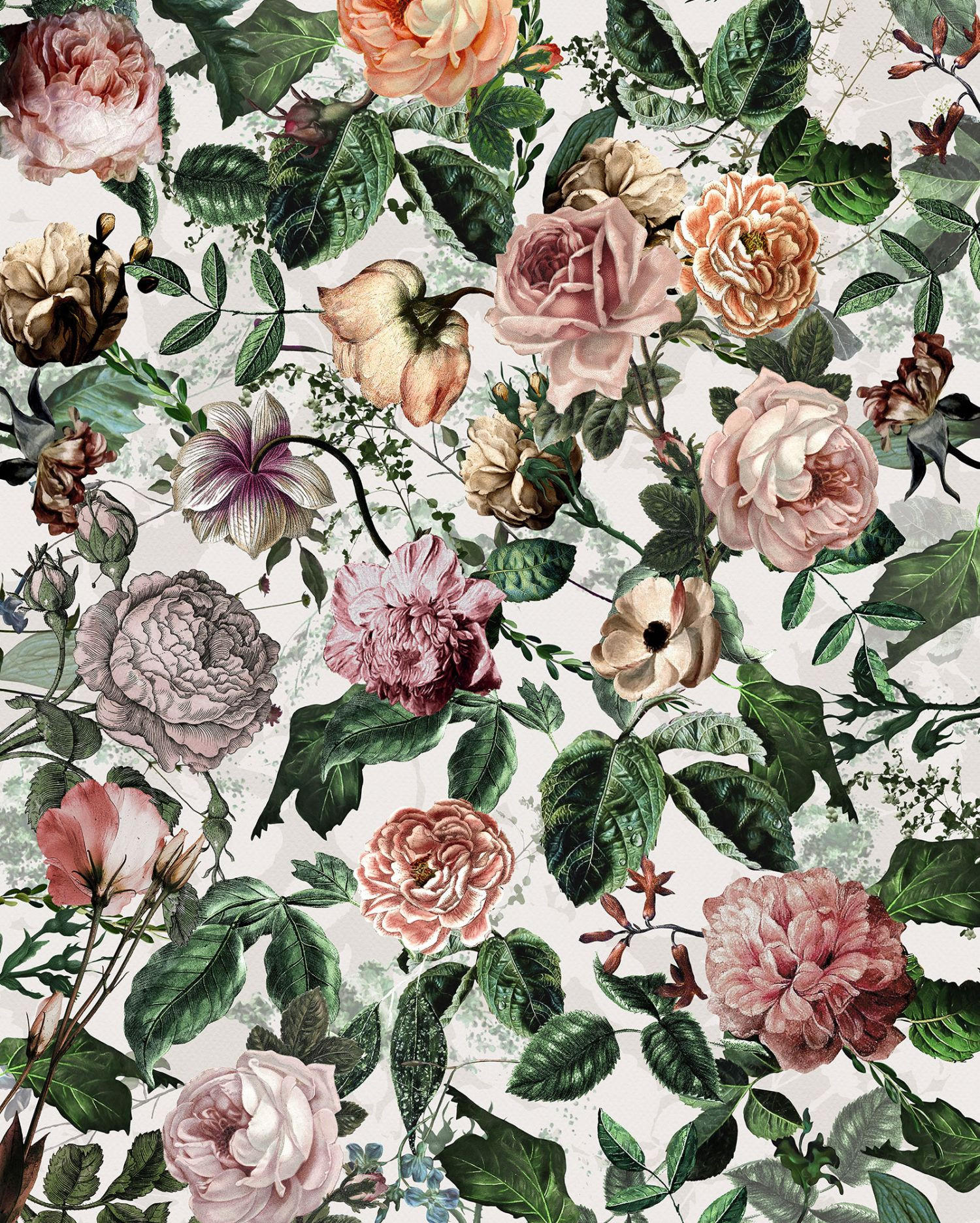 FOTOTAPETE Blumen 200 x 250 cm - Pink, Papier (200/250cm) - Sanders & Sanders