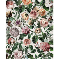 FOTOTAPETE Blumen 200 x 250 cm - Pink, Papier (200/250cm) - Sanders & Sanders