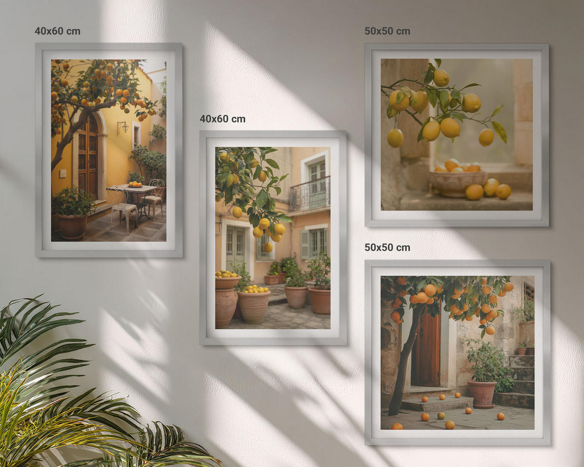 BILDER SET 4er Set - 50x50 cm & 40x60 cm Silberner Rahmen - Zitrusgarten in der Sonne - Silberfarben, Kunststoff (50/50cm) - TULUP