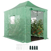 GEWÄCHSHAUS DE-05777 Pop-up, faltbar mit Satteldach Transparent - Grün, Kunststoff/Metall (200/270/295cm) - ComfortXL