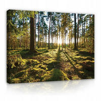 LEINWANDBILDER Wald Natur Wohnzimmer 120x80 - Multicolor, Holzwerkstoff (120/80cm) - Wallarena