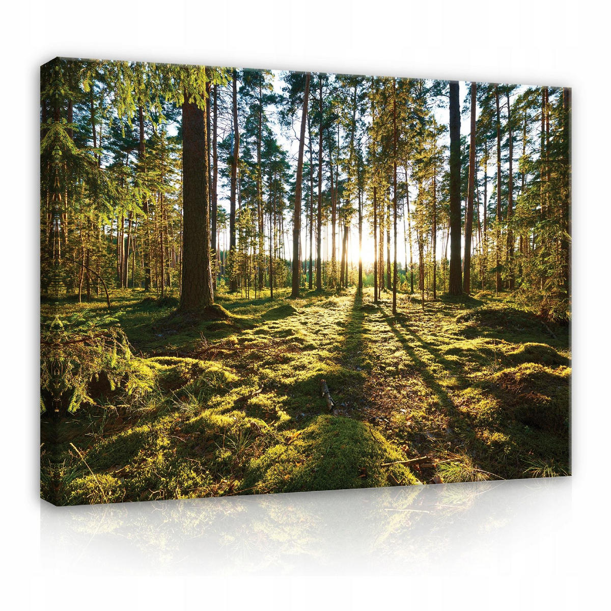 LEINWANDBILDER Wald Natur Wohnzimmer 120x80 - Multicolor, Holzwerkstoff (120/80cm) - Wallarena
