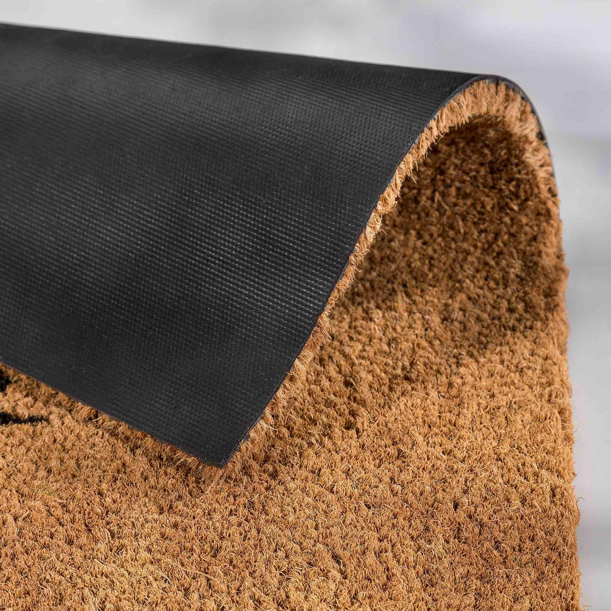 FUSSMATTE COCO SMART - Naturfarben, Textil (40/60cm) - Astra