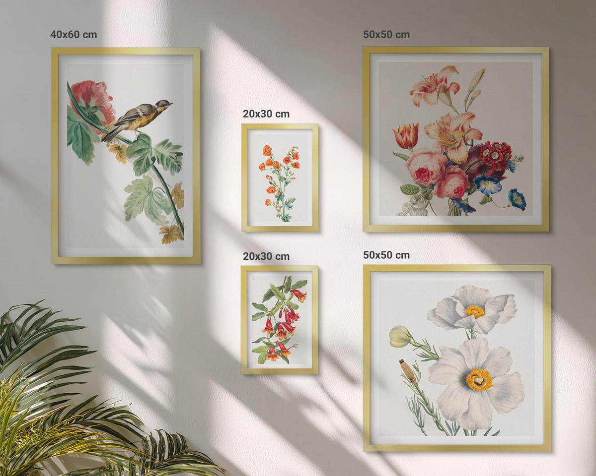 BILDER SET 5er Set - 50x50 cm & 20x30 cm & 40x60 cm Goldrahmen - Gemalte Blumen, Retro-Vogel - Goldfarben, Kunststoff (40/60cm) - TULUP