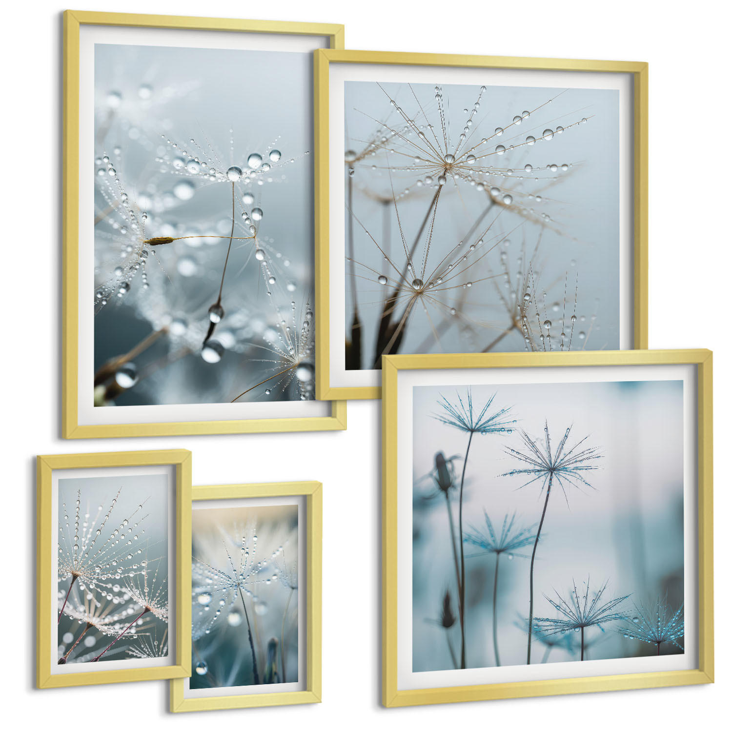 BILDER SET 5er Set - 50x50 cm & 20x30 cm & 40x60 cm Goldrahmen - Wassertropfen auf Löwenzahnsprossen - Goldfarben, Kunststoff (40/60cm) - TULUP