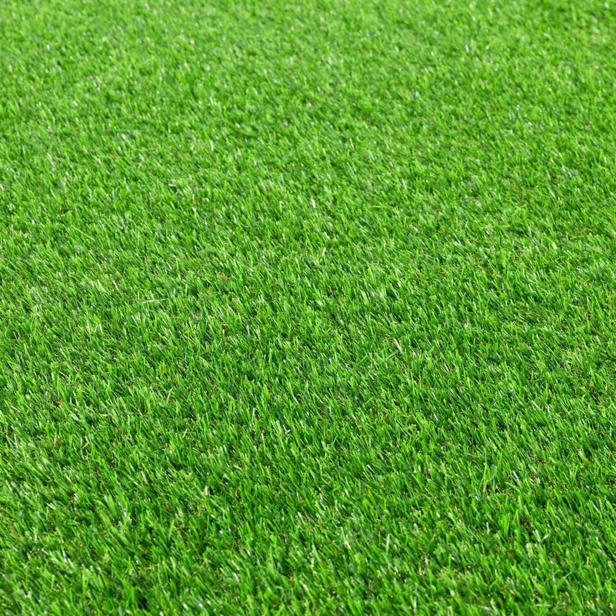 RASENTEPPICH Grün 400/400 cm Glasgow - Grün, Kunststoff (400/600cm) - Steffensmeier