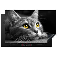 HERDABDECKPLATTE Katze - Grau - Tiere - Katze 80x52 cm - Grau, Kunststoff (80.2/0.2/52.2cm) - MuchoWow