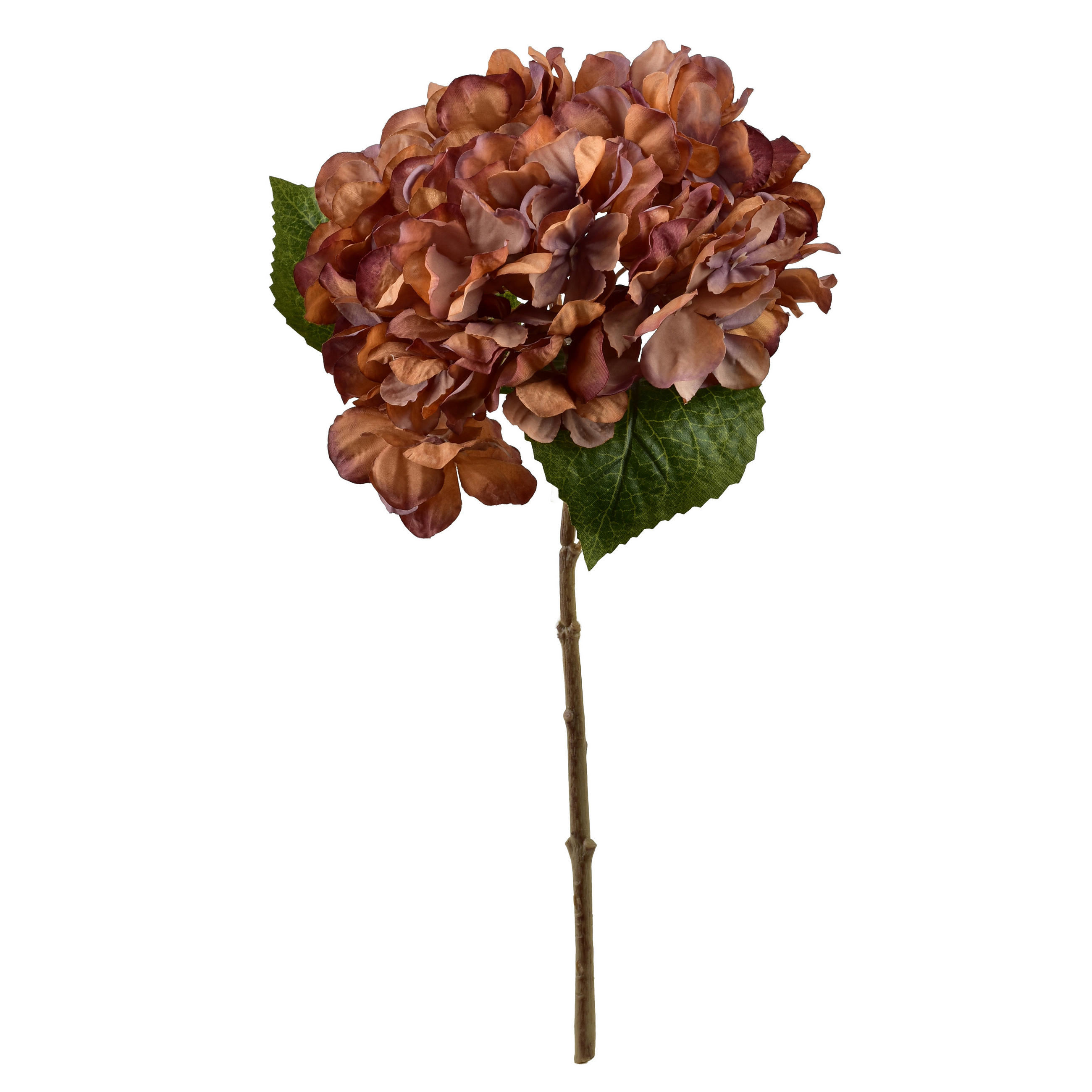 KUNSTHORTENSIE Viridis 35cm - Grün, Kunststoff (35cm) - Mondex
