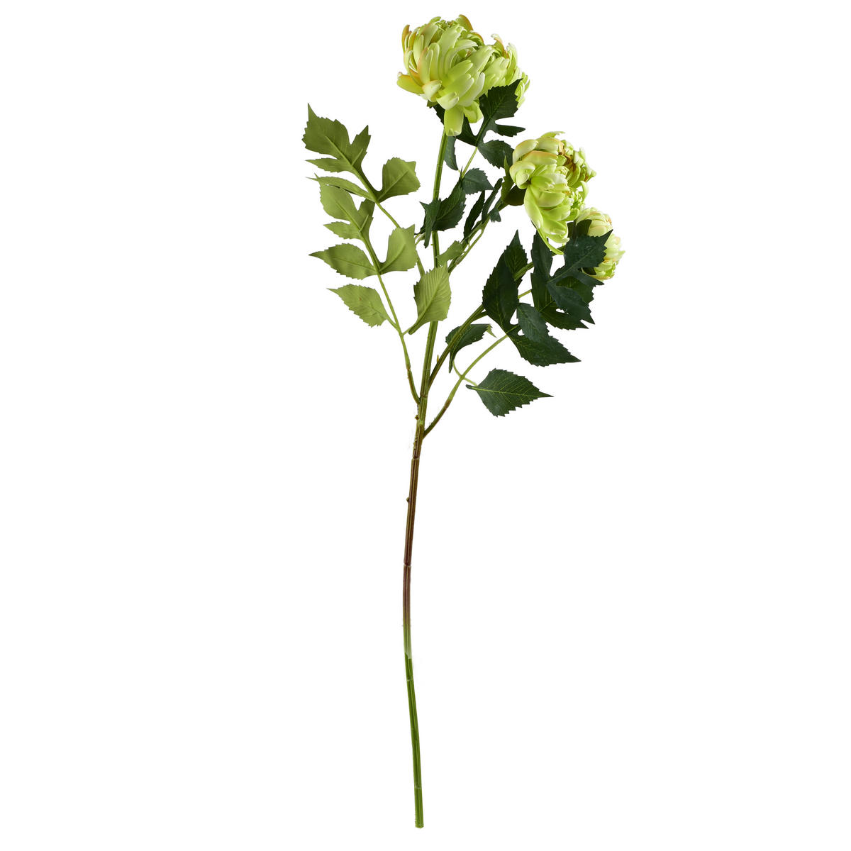UMĚLÁ CHRYZANTÉMA Viridis, 3dílná, plast, zelená, 70 cm - bílá/zelená barva, plast (70cm) - Mondex